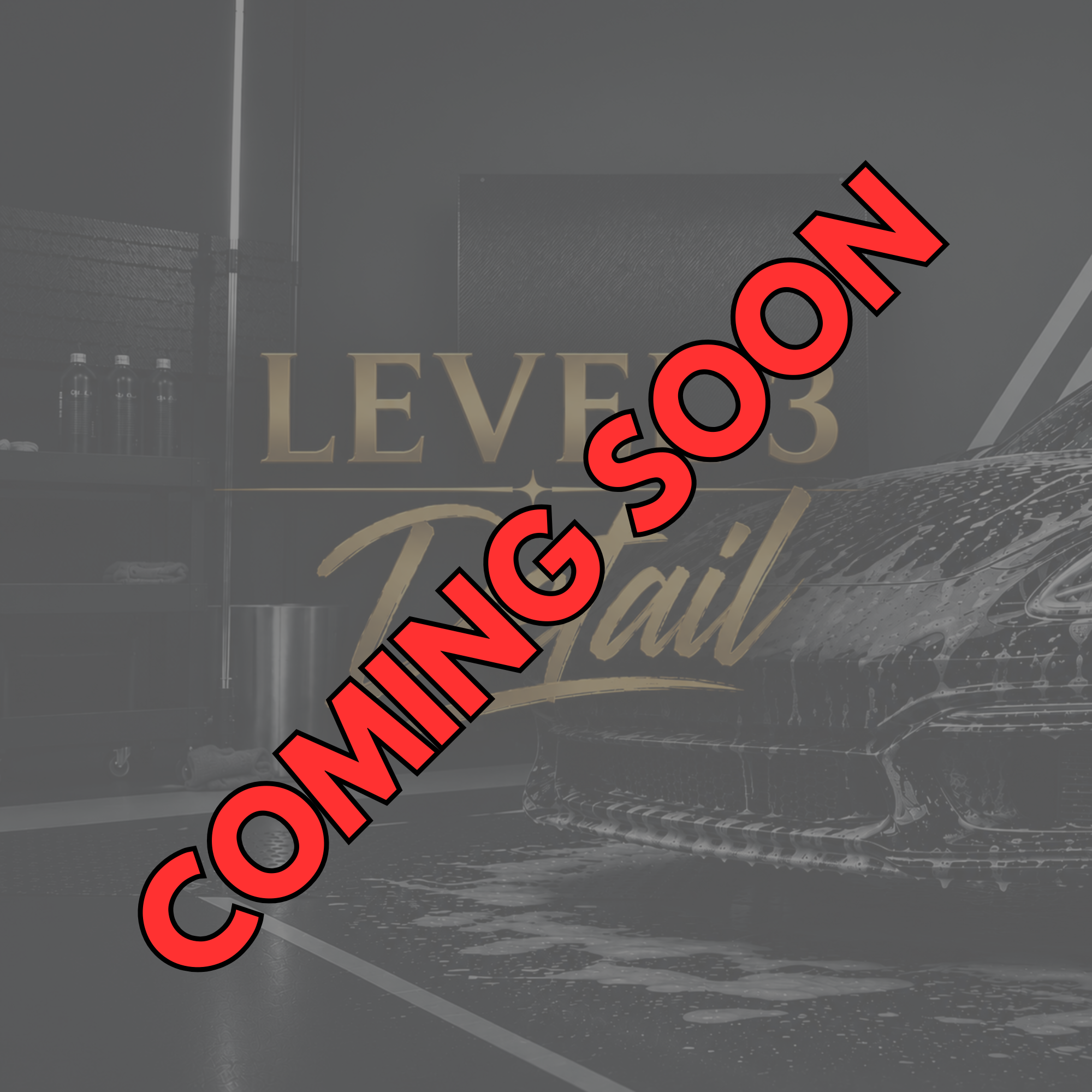 Level 3 Detail